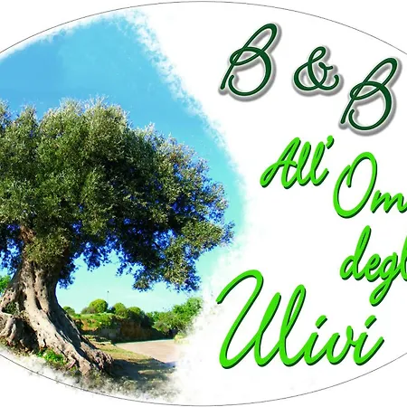 All'ombra Degli Ulivi