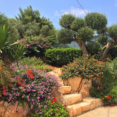 All'ombra Degli Ulivi Отель типа 