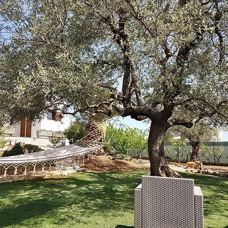 All'ombra Degli Ulivi