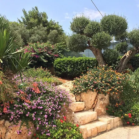 Bed & Breakfast All'ombra Degli Ulivi Ostuni