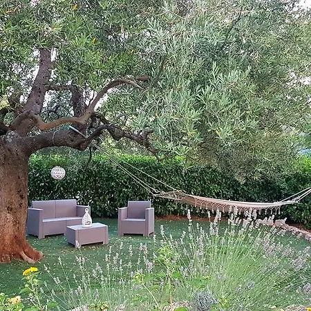 All'ombra Degli Ulivi Bed & Breakfast 3*