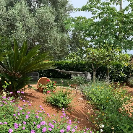 Bed & Breakfast All'ombra Degli Ulivi