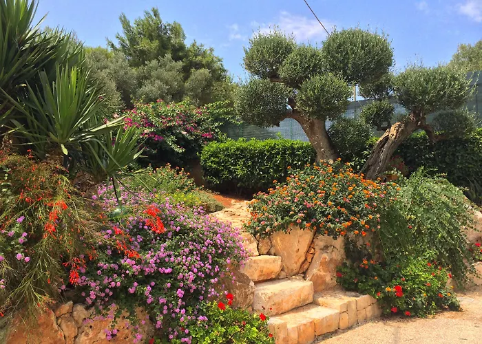 All'ombra Degli Ulivi Отель типа 