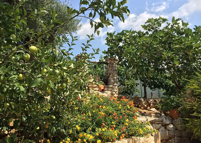 All'ombra Degli Ulivi