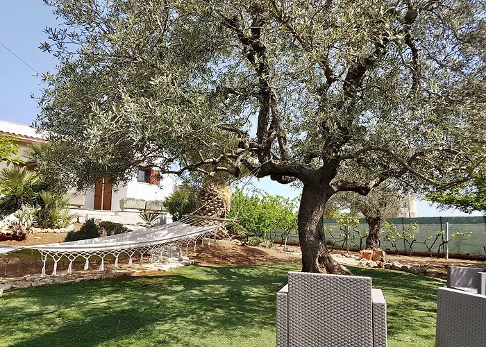 All'ombra Degli Ulivi