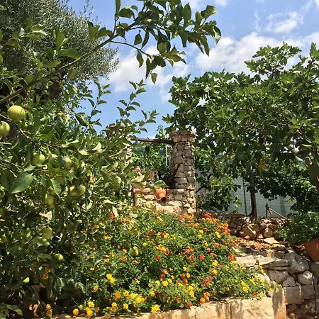 All'ombra Degli Ulivi