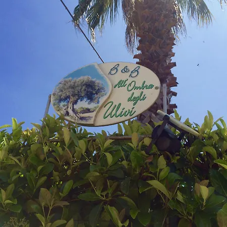 לינה וארוחת בוקר All'ombra Degli Ulivi