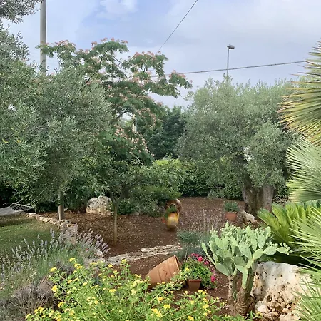 All'ombra Degli Ulivi B&B