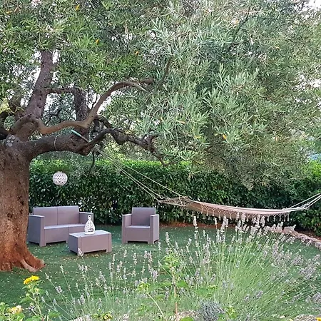 All'ombra Degli Ulivi 4*