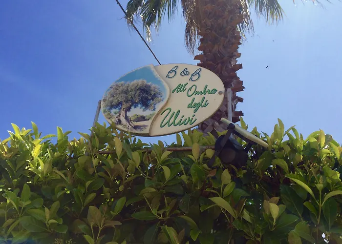 Bed & Breakfast All'ombra Degli Ulivi